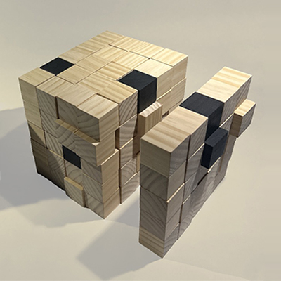 Syntropy and Entropy